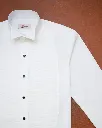 RS043_5.webp
