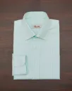 Turquoise Green Stripe Oxford Shirt
